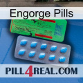 Engorge Pills new03